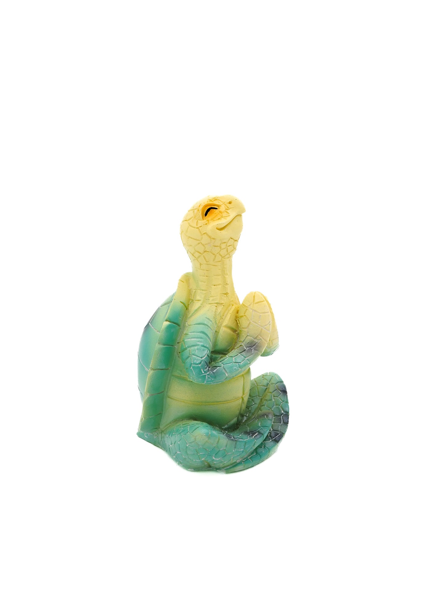 Meeresschildkröte "Meditation"
