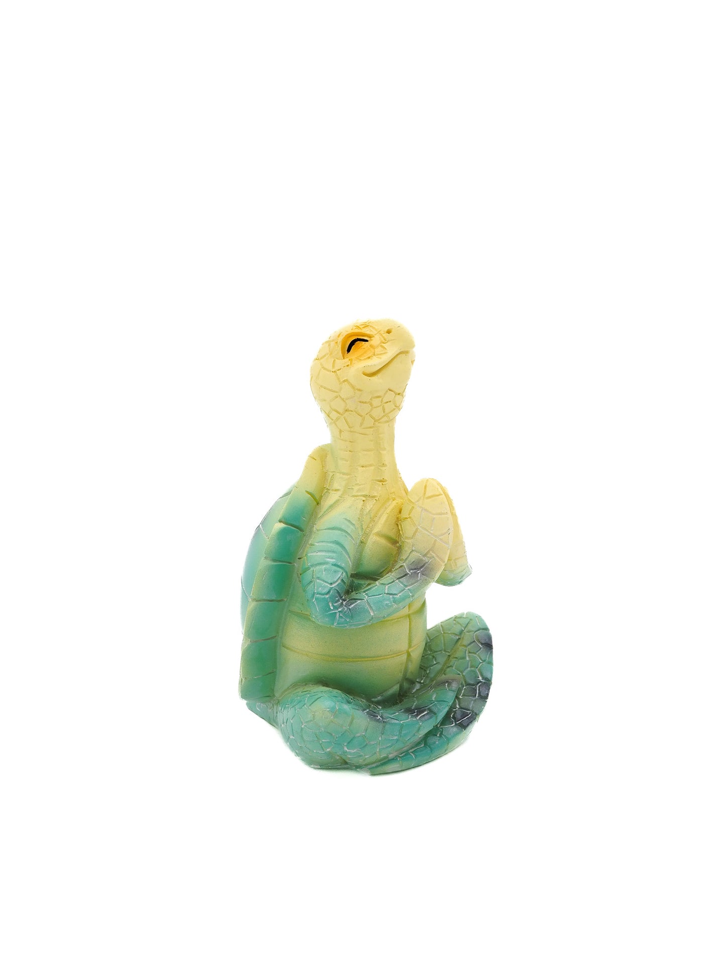 Meeresschildkröte "Meditation"